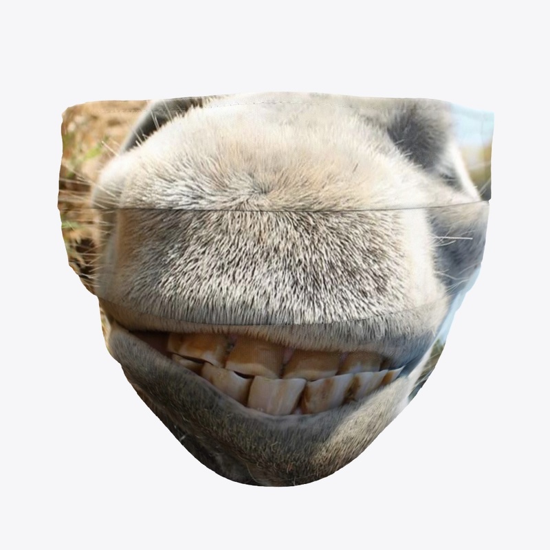 Smile Mask