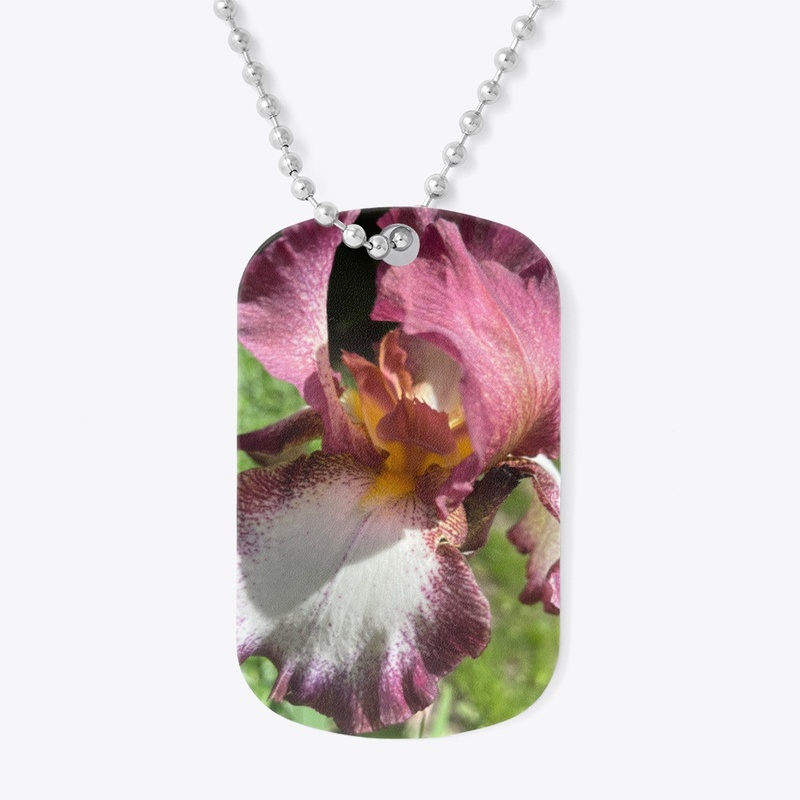 Burgundy Iris