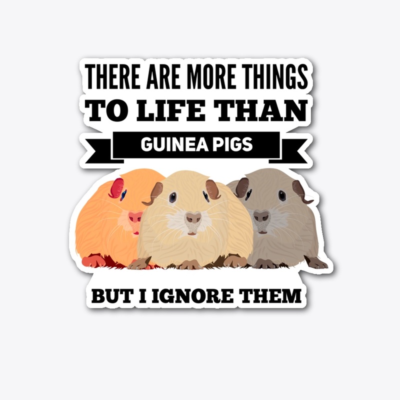 Guinea Pig Cute Funny Adorable