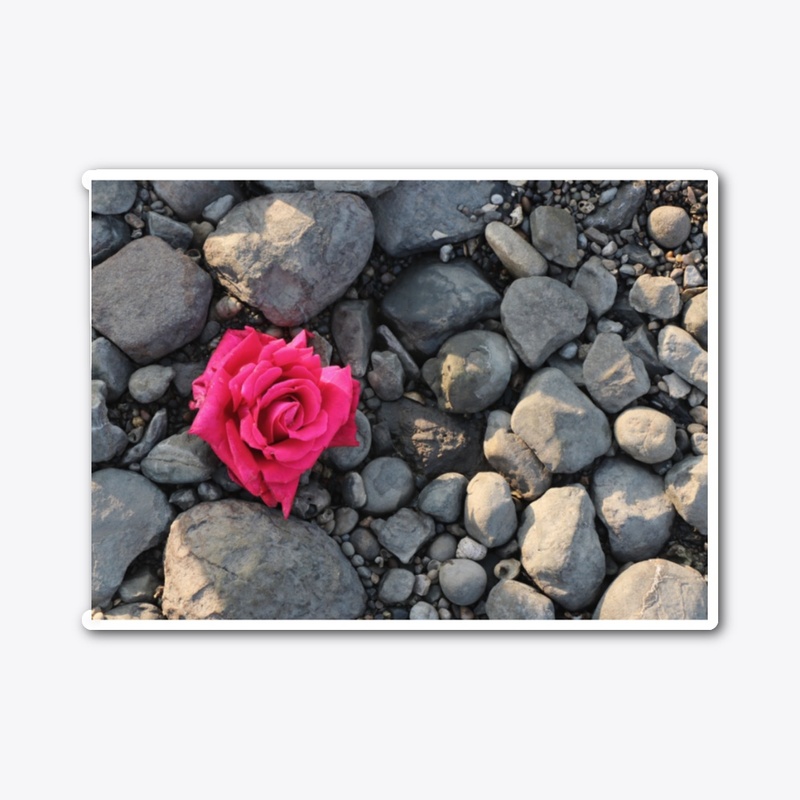 Rose in the stone