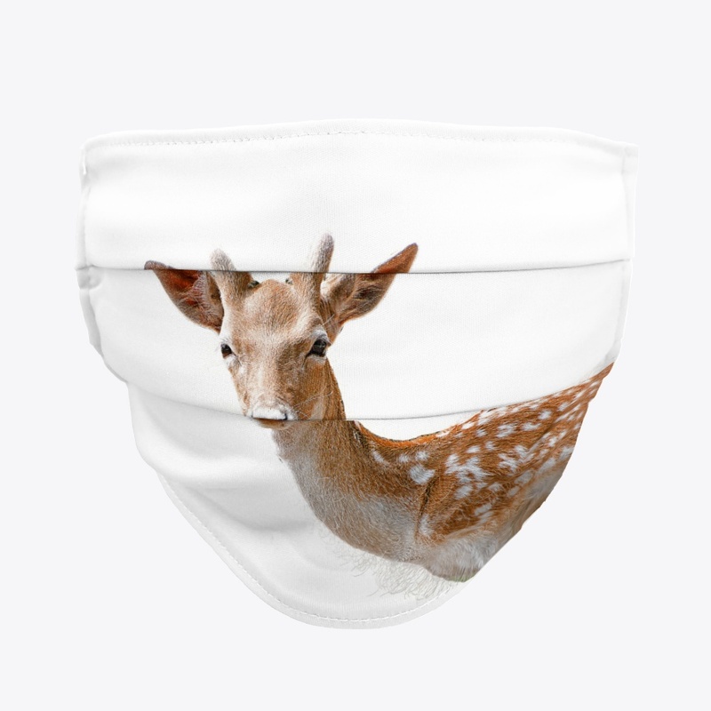 Deary Deer