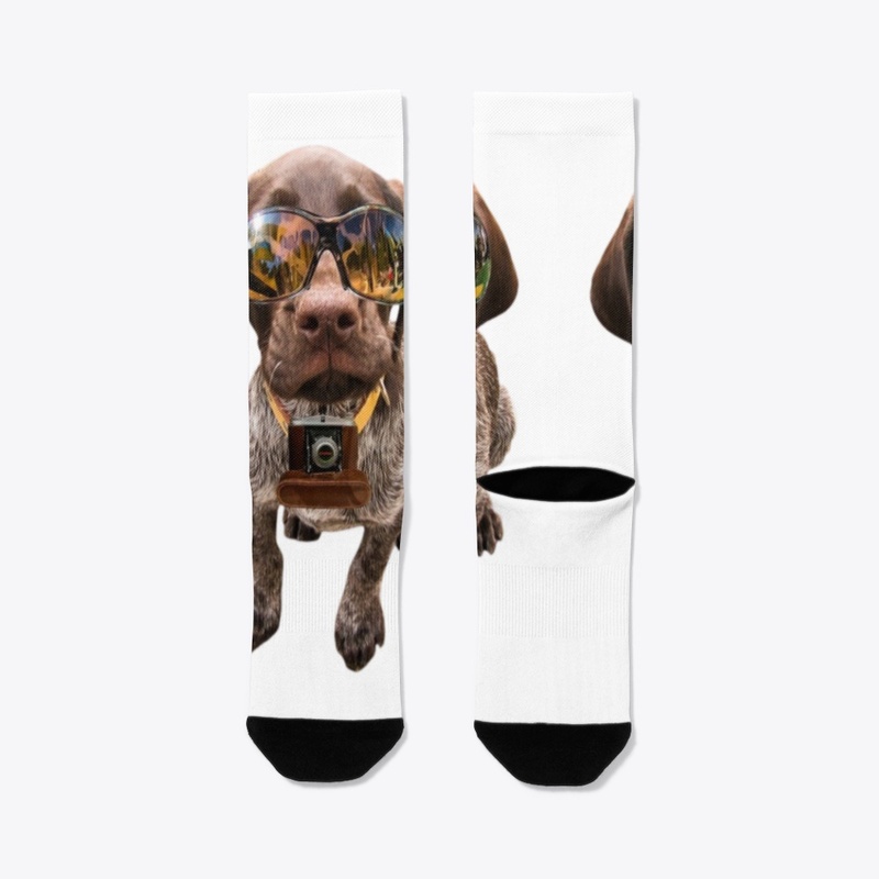 CHIEN