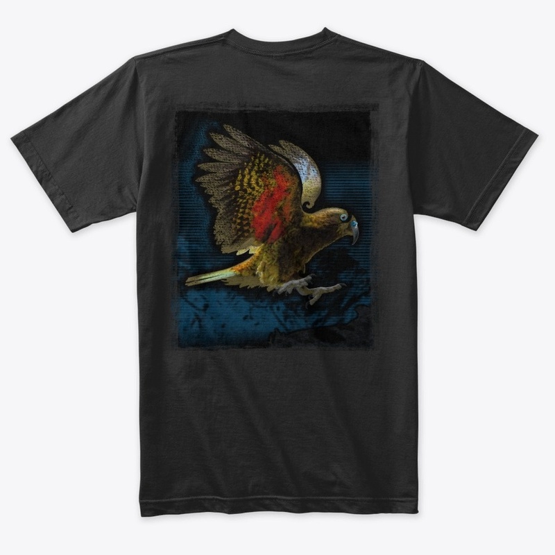 Kea, alpine parrot