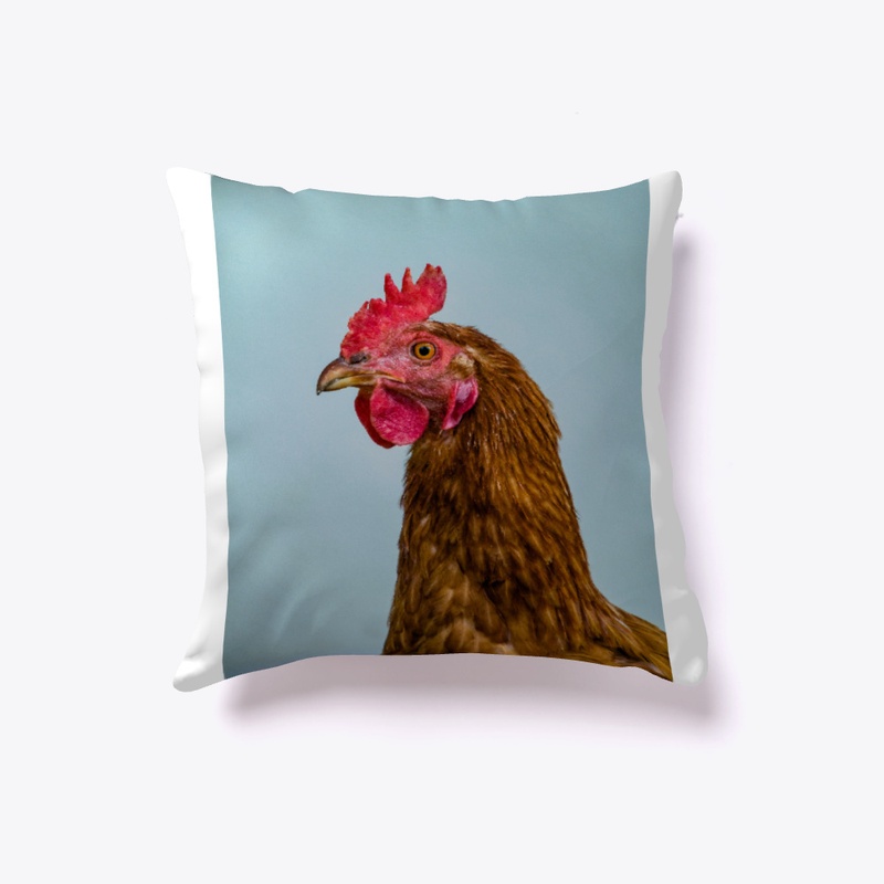 Chicken O'Clock 