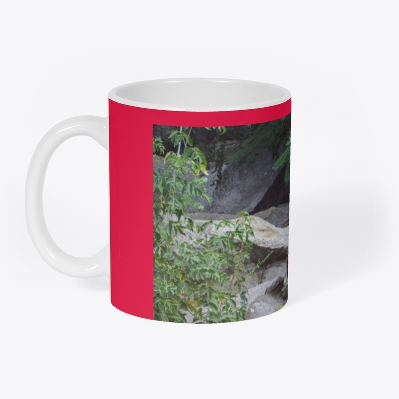 Designer Mugs
