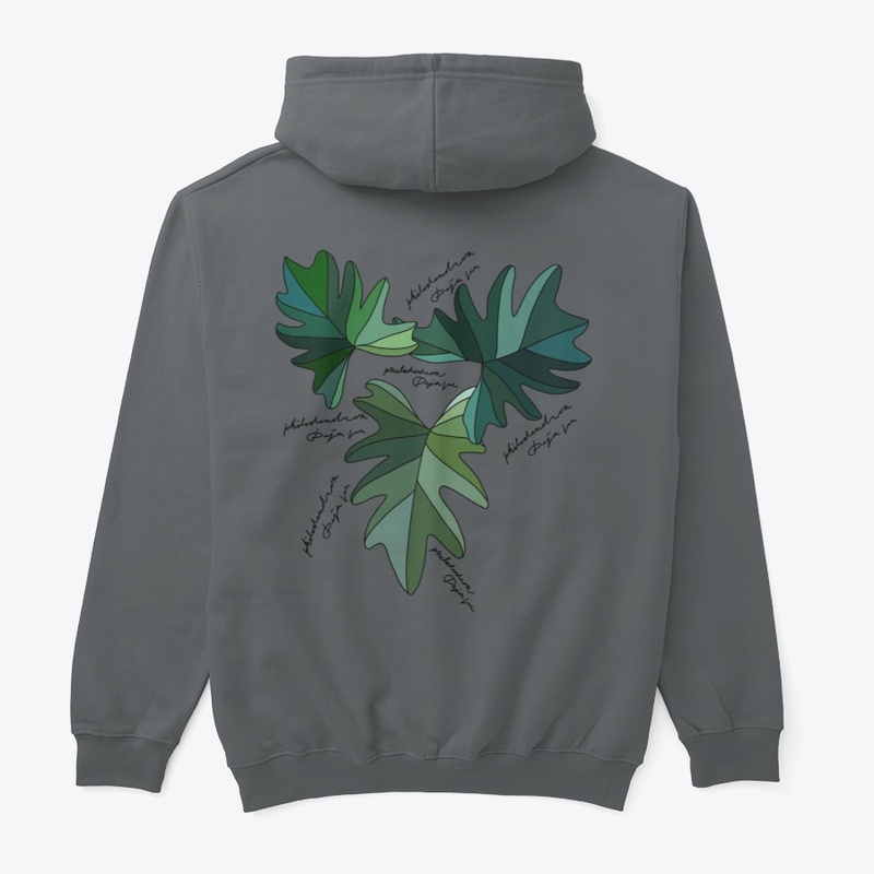 Philodendron Deja vu plant enthusiast