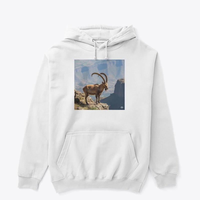 Ethiopian Ibex