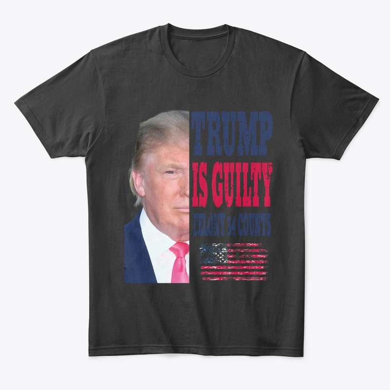 Donald Trump Is Guilty Felony 34 Counts