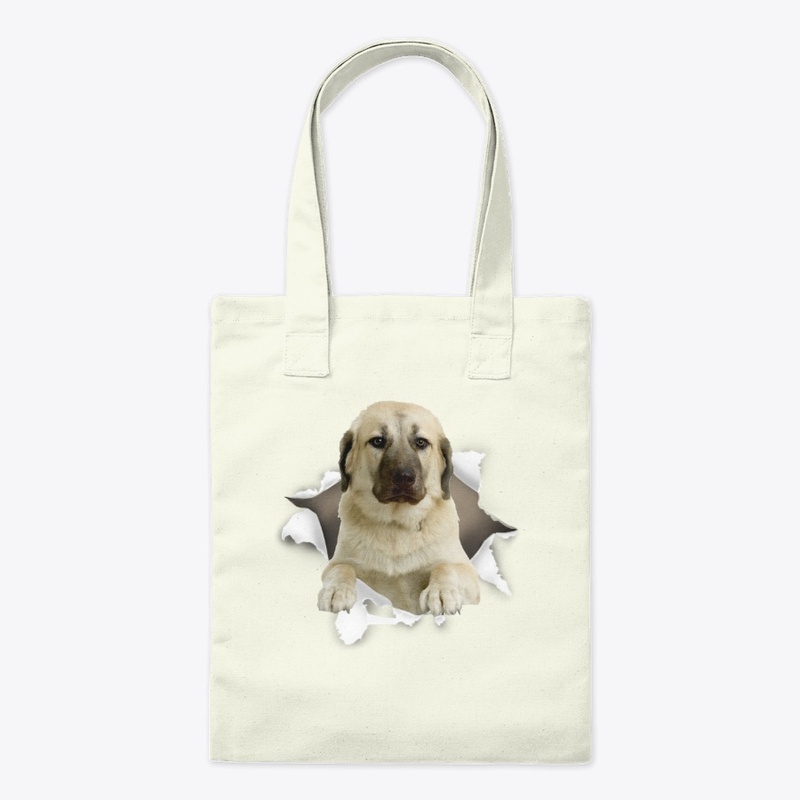 Kangal Dog Torn Paper