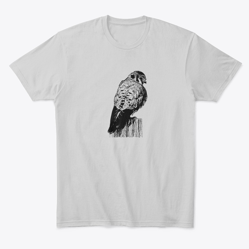 American Kestrel Birdwatching