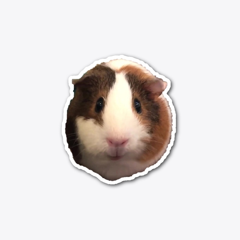 Guinea pig sticker (Piper)