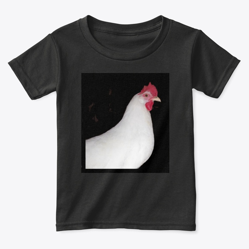 white leghorn hen chicken farm animal
