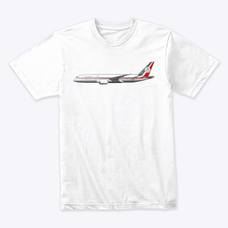 TP01 Boeing 787