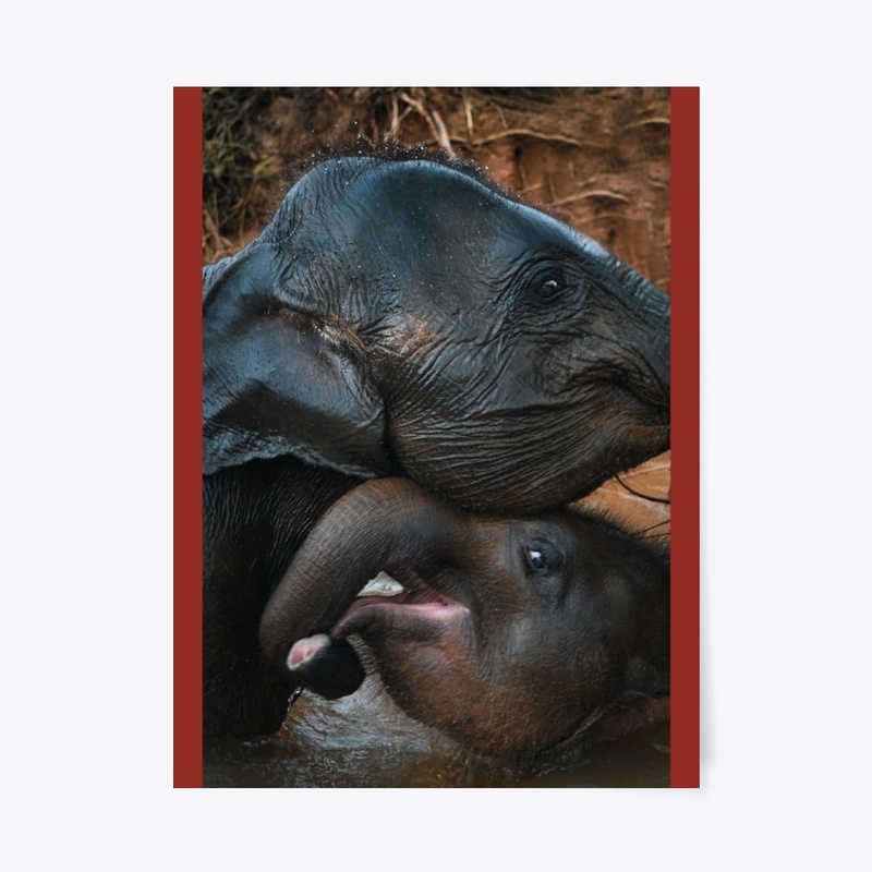 mom's love