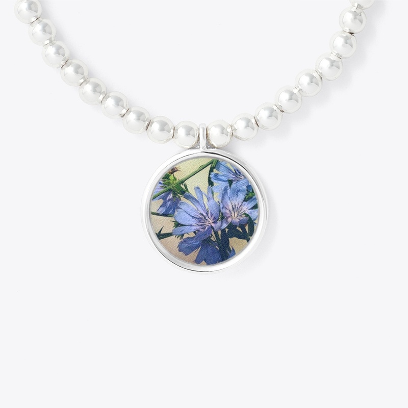 Blue Wildflower
