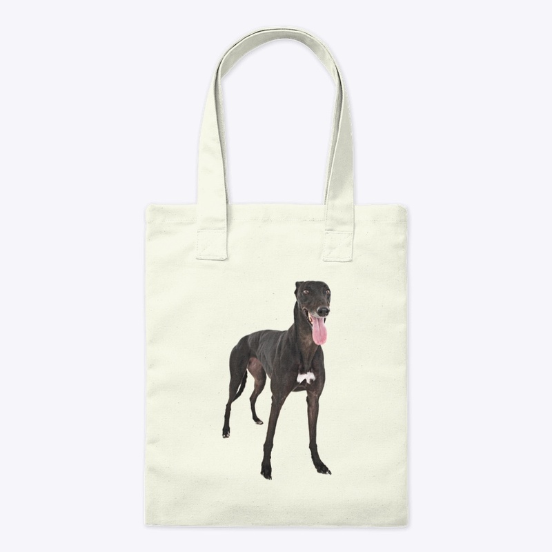 black greyhound dog