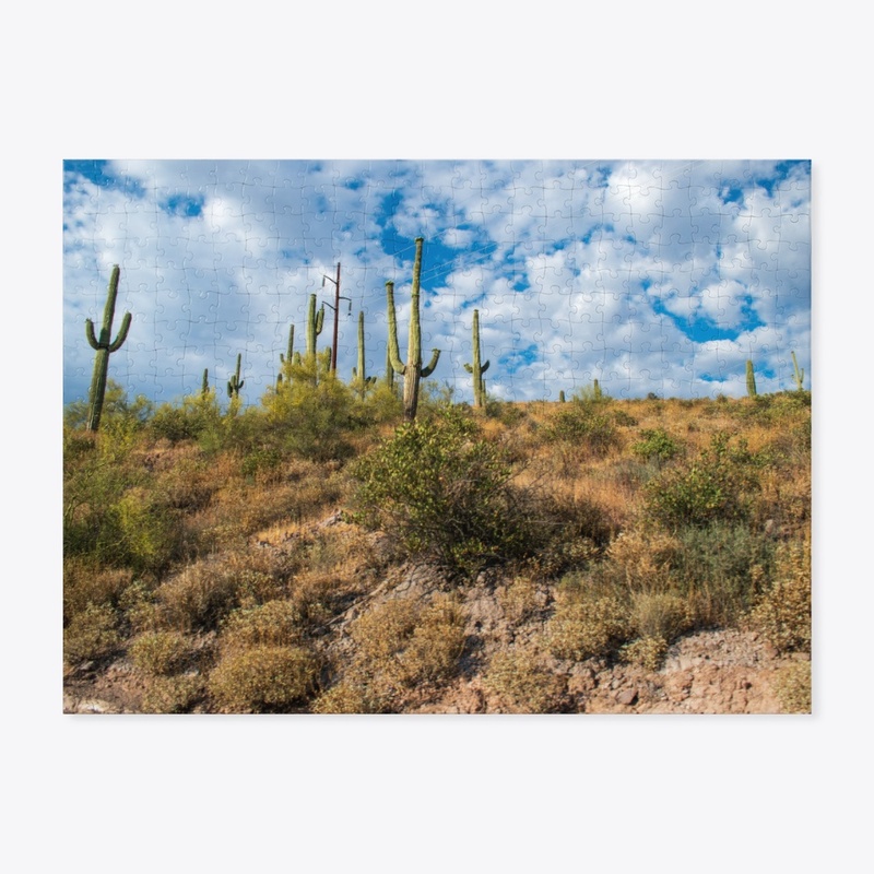 AZ Landscape 