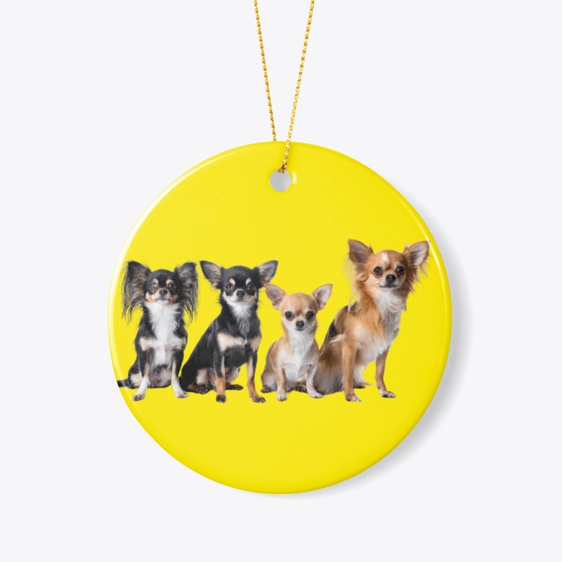 Chihuahua