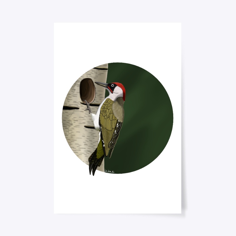 jz.birds Green Woodpecker Bird Design