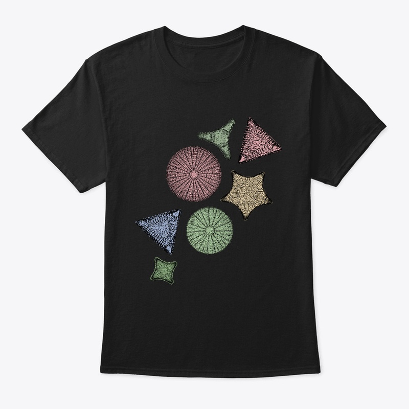 Diatom Marine Biology Art