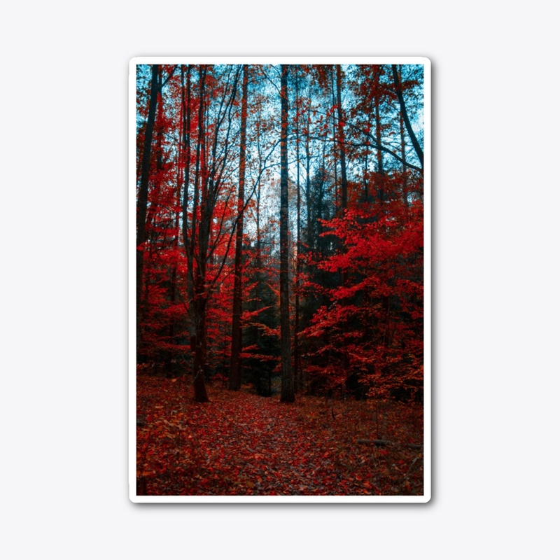 Red forest 