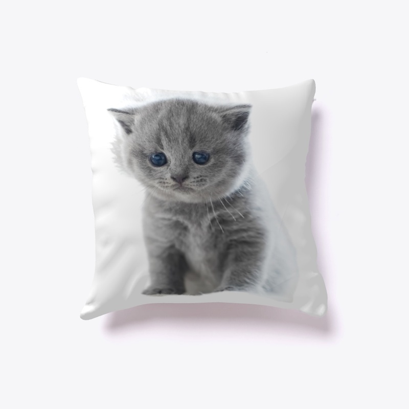 Kitty lover