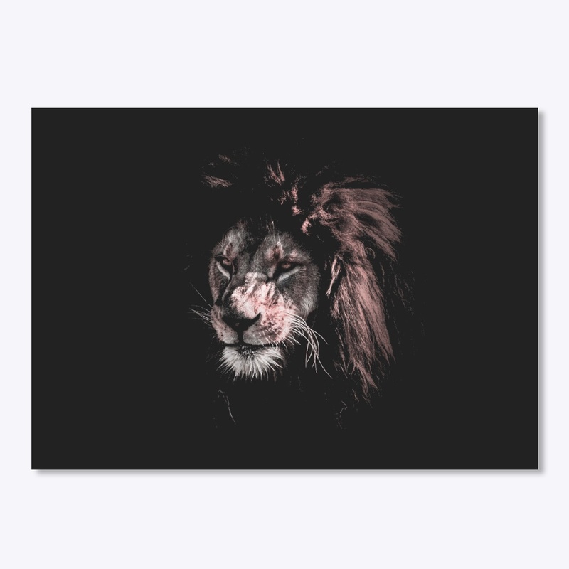 Exotix Lion 