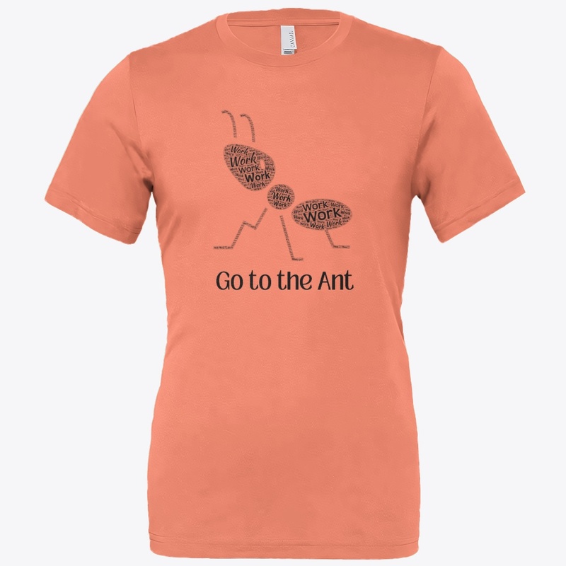 Ant Life