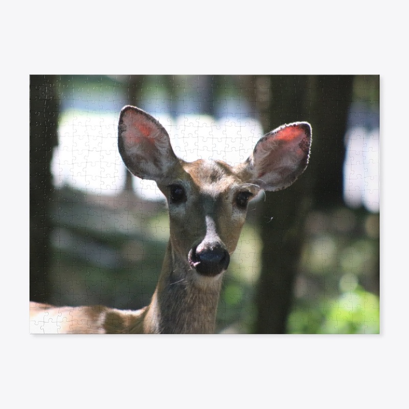 Deer 1