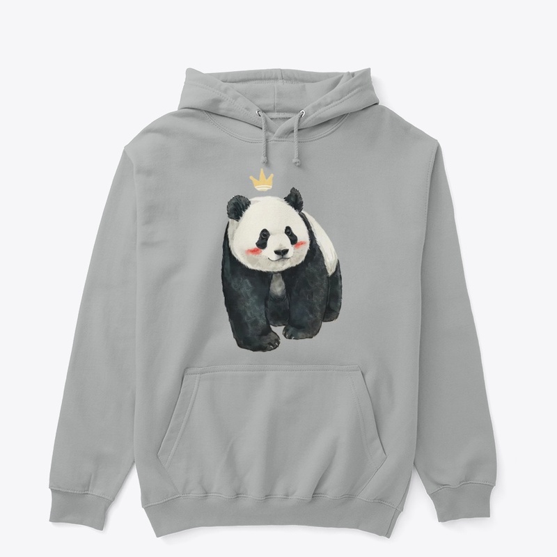  XIANGXIANG🐼Giant Panda