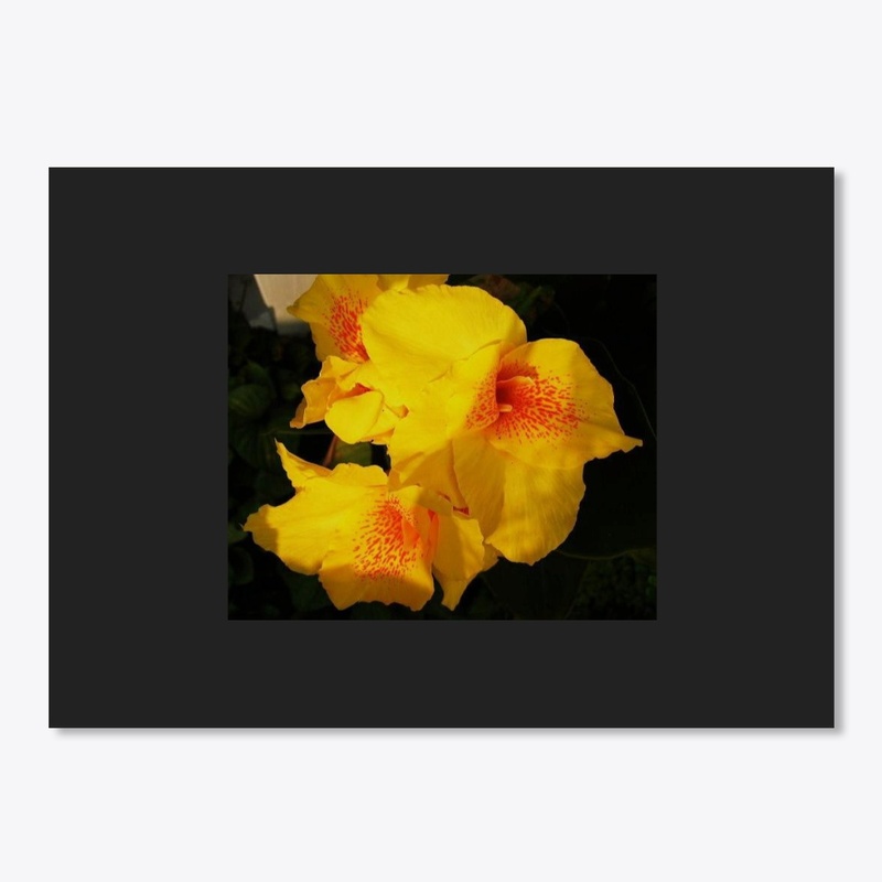 yellow orange flowers