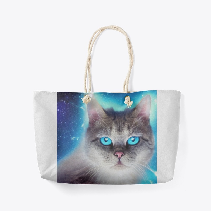 Space Cat