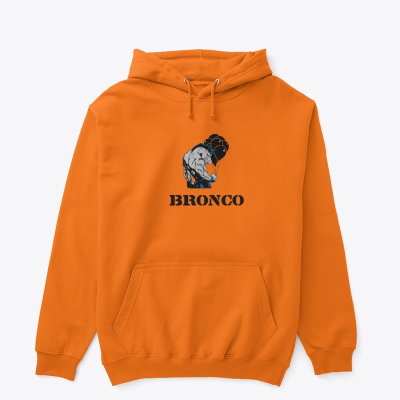 gym horse bronco furious