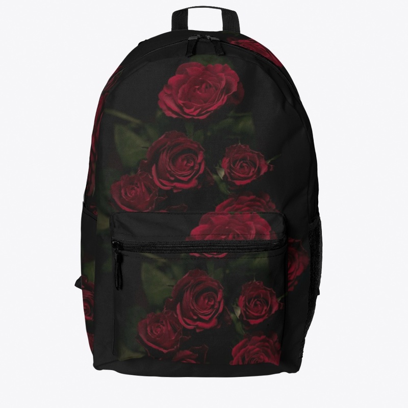Backpack/travel/school Bag 