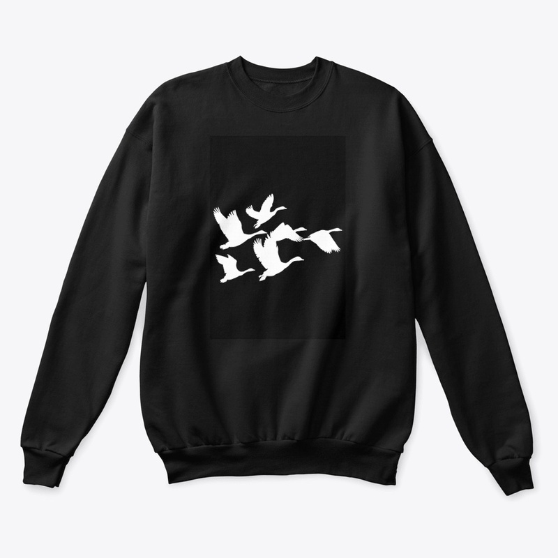 Flying birds 🕊️