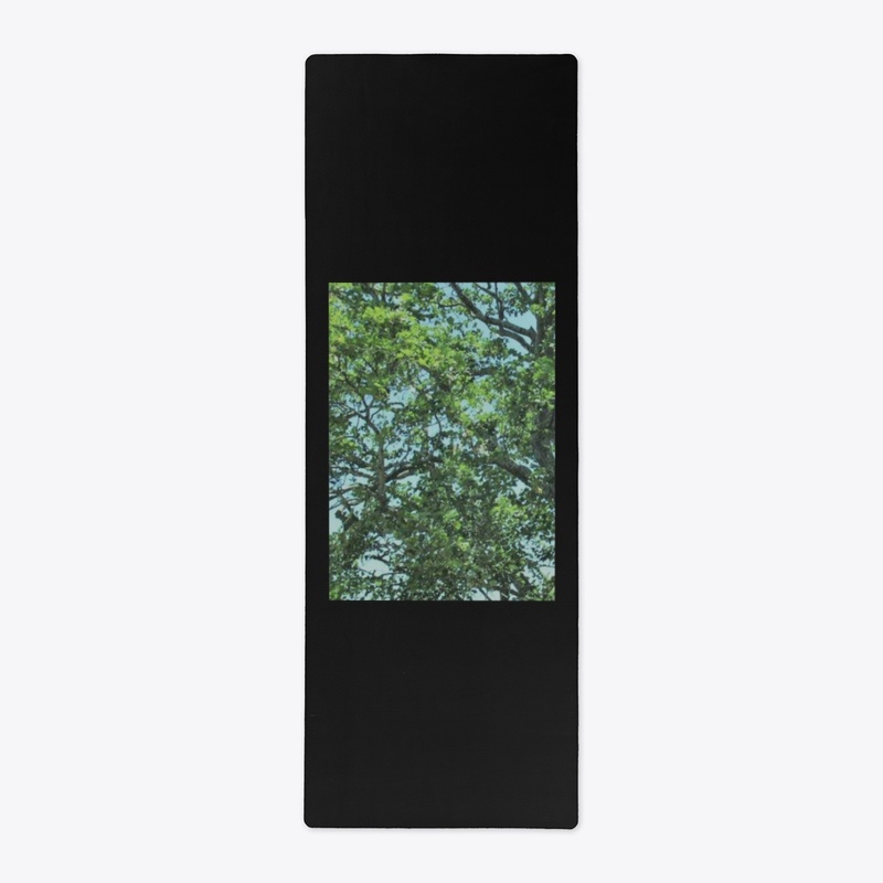 THE AERIAL TREE