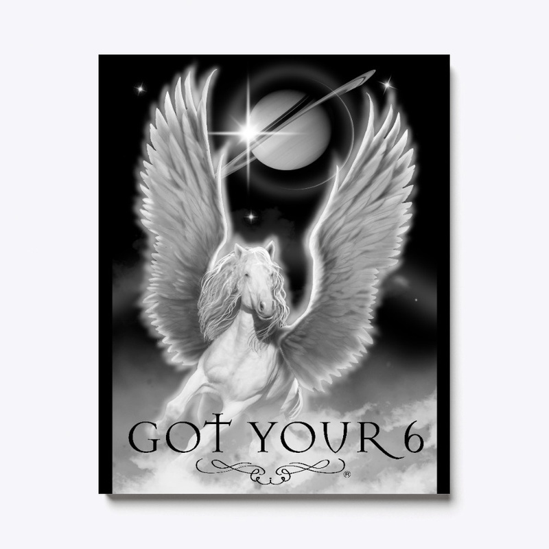 Got YOUR 6 Canvas Print