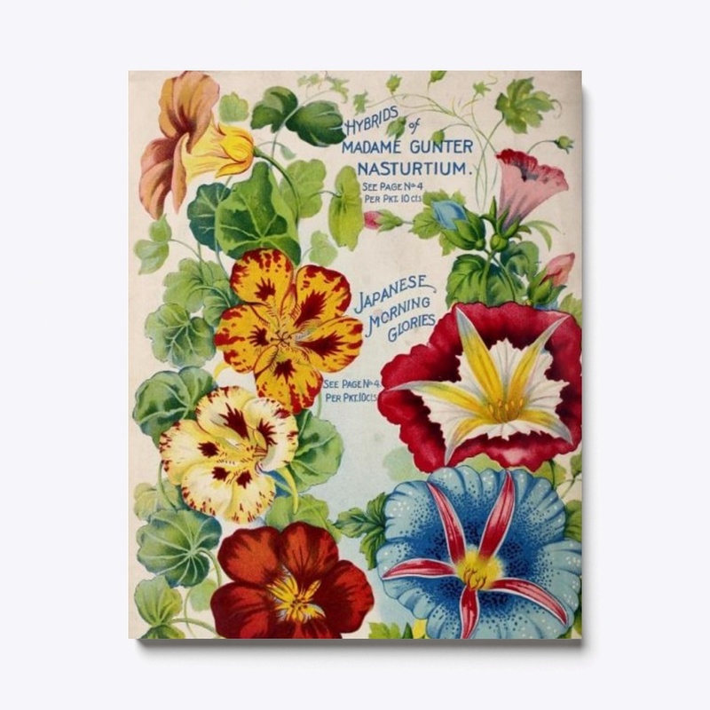 Vintage Japanese Morning Glory Flowers
