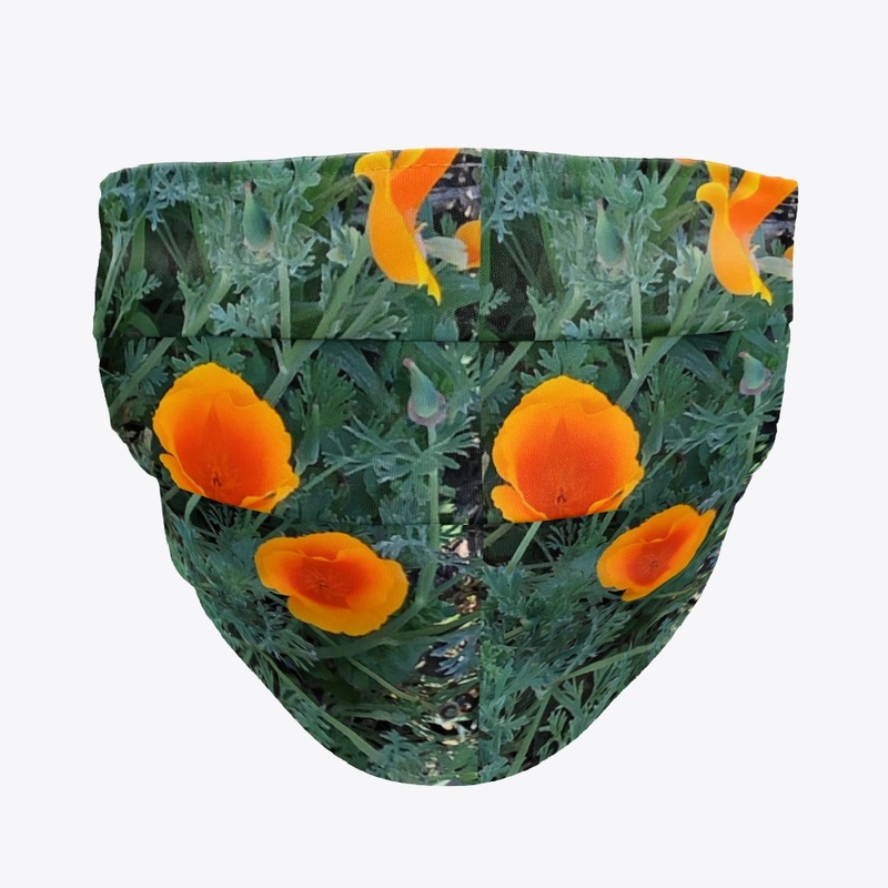 California Poppies