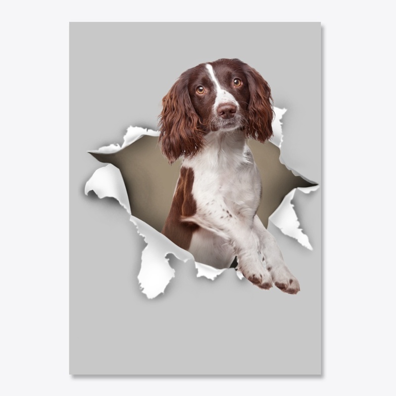English Springer Spaniel Torn Paper