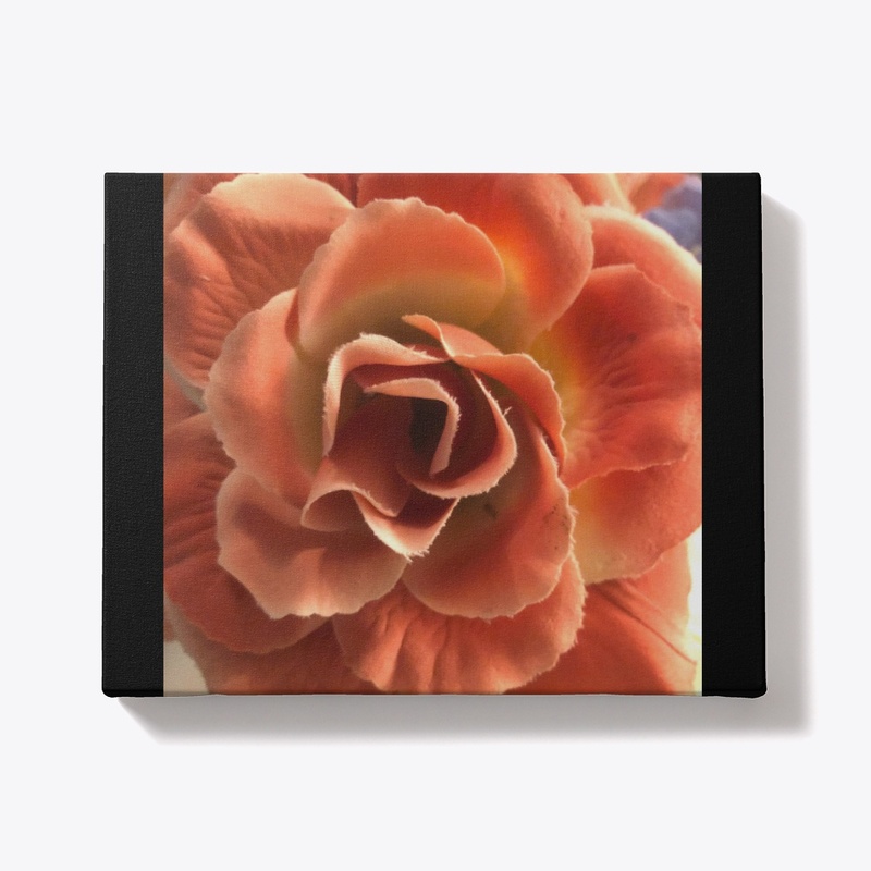 ART-CANVAS-ROSE