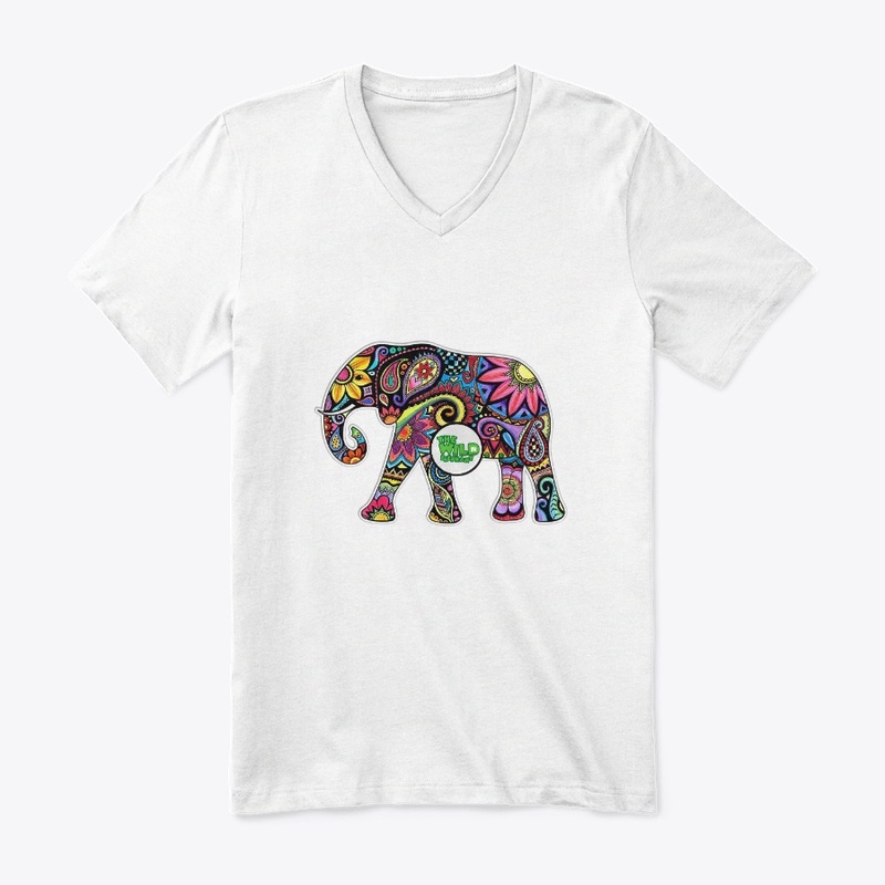 Colorful Elephant Art Work Products
