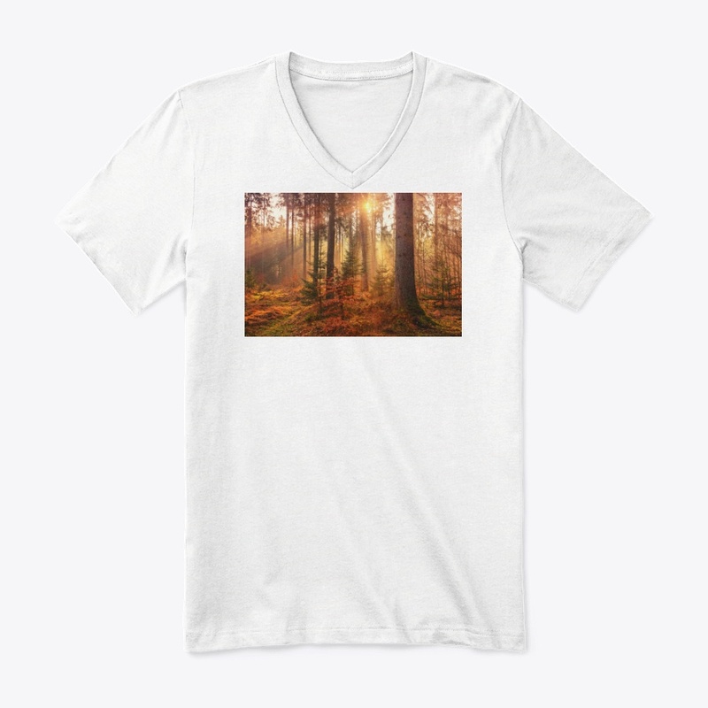 Value12 Sunshine in the forest