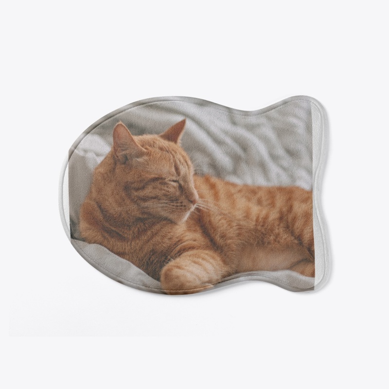 Nice cat