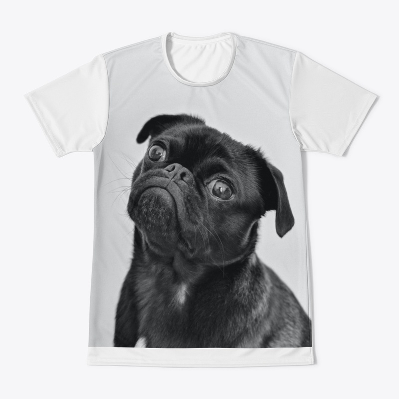The black dog
