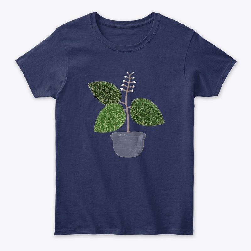 Jewel Orchid Macodes Petola Art