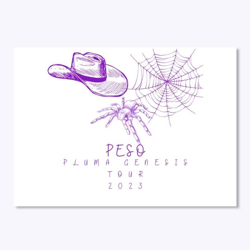 Peso Pluma Sombrero Spider Tour