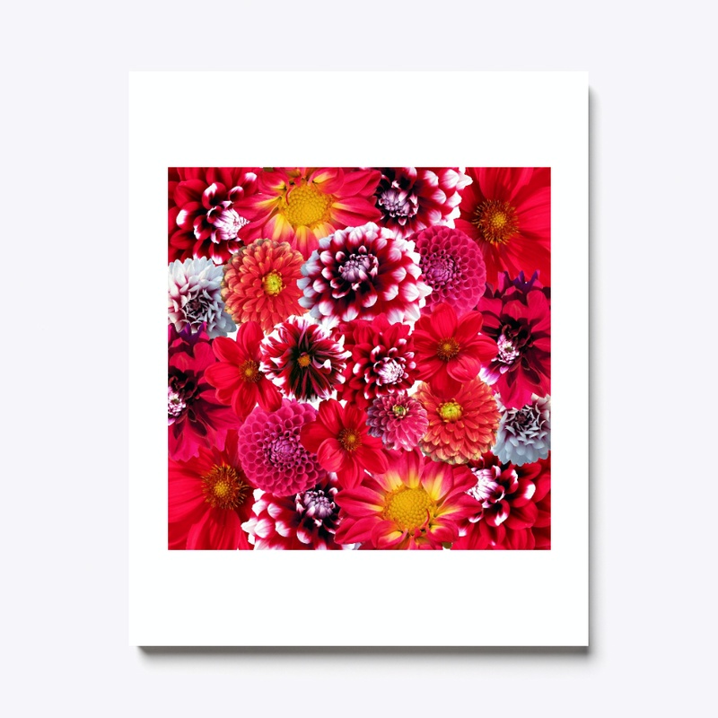 Autumn Flowers
