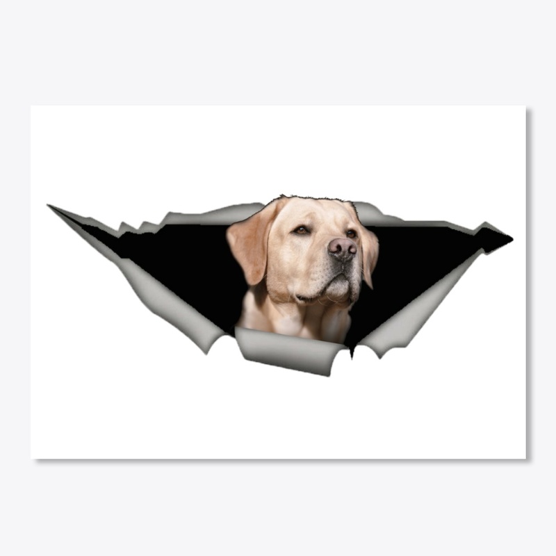 Labradore car decal 