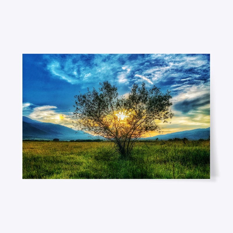 Bansko, Bulgaria -sunset tree